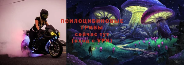 Альфа ПВП Белокуриха