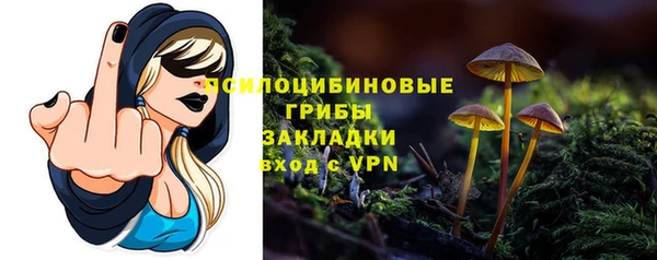 apvp Балабаново